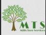 Mills Tree Services - Business Listing Gravesend