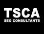 The SEO Consultant Agency - Business Listing Manchester