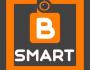 B Smart Security Supplies Ltd