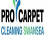 Pro Carpet Cleaning Swansea - Business Listing Swansea