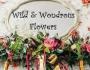 Wild & Wondrous Flowers