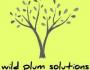 Wild Plum Solutions