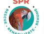 Safehaven Parrot Refuge. Parro - Business Listing Cornwall