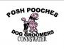 Posh Pooches Dog Groomers Connswater - Business Listing Belfast