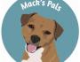 Mack's Pals - Business Listing South Lakeland